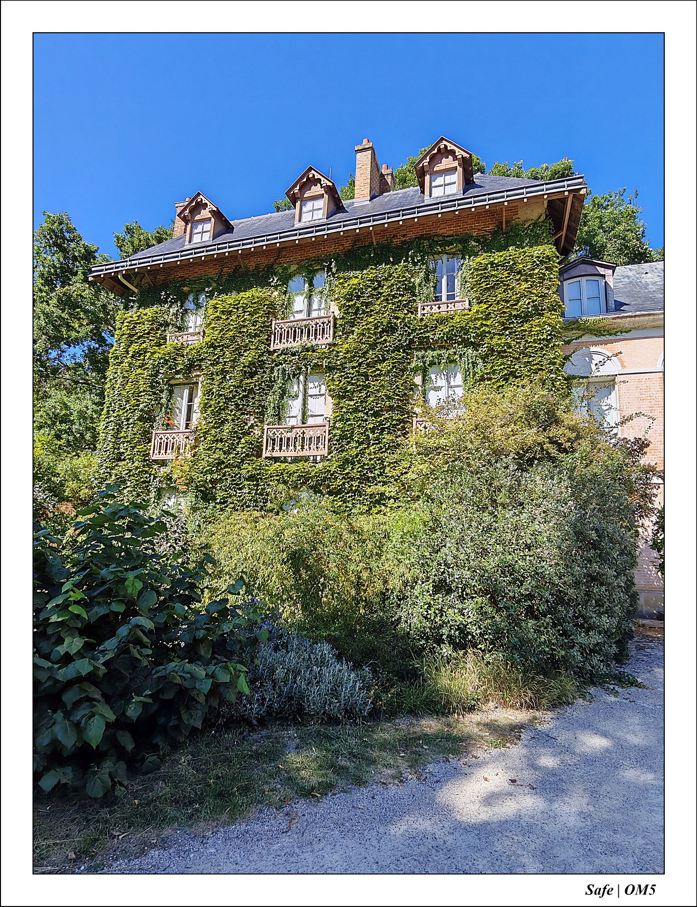 2025 - 08 - Vallée des loups - 41